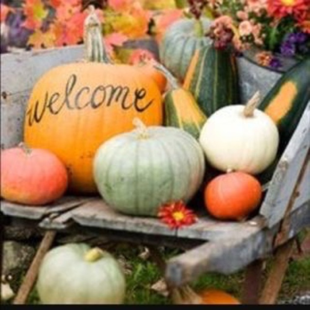 WELCOME - Picture 13 of 16